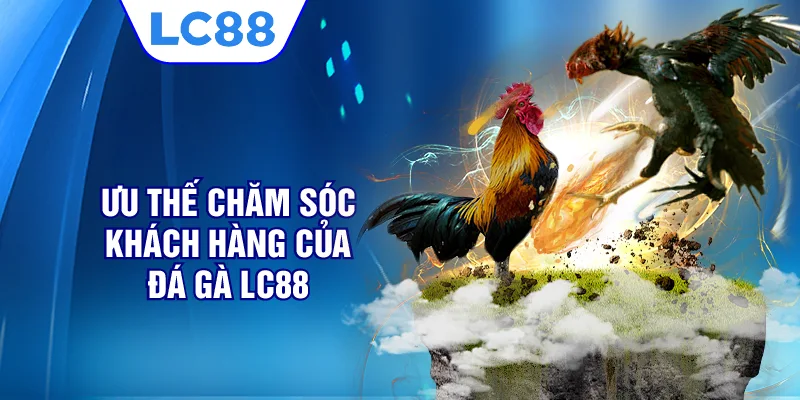 Ưu thế chăm sóc khách hàng của đá gà LC88
